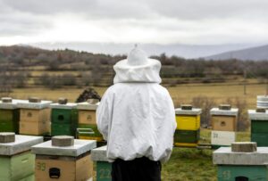Beekeeping and Pollination Services