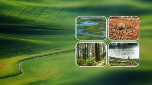 Type Of Land You Are Buying