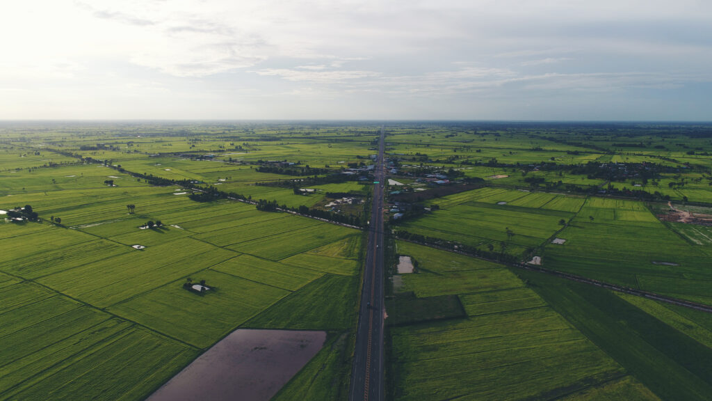 Managed farmland near Hosur