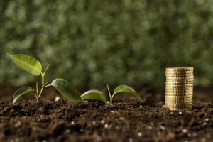 Farmland investment Returns