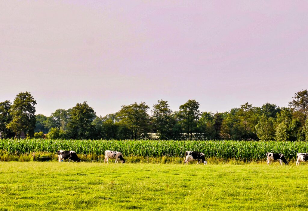 Managed farmland with sustainable lifestyle