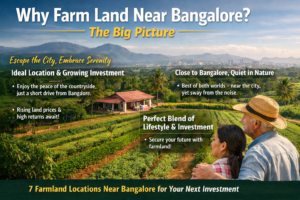 Why Farm Land Near Bangalore