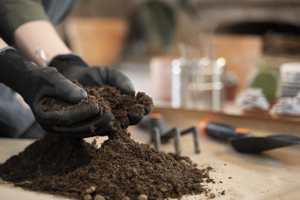 Importance of Soil Testing